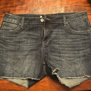 Kut from the Kloth Gidget fray shorts